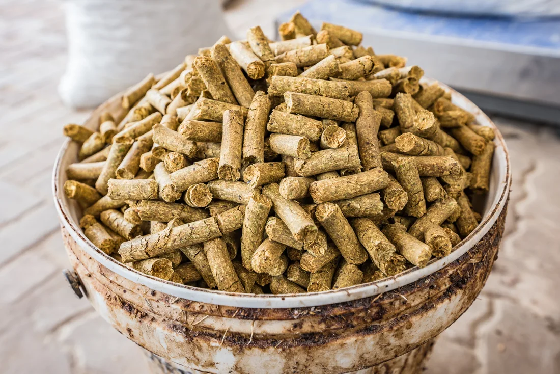 Representative processed animal-feed pellets